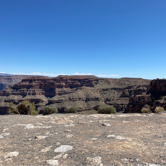 Meet your Posher, Ashton - Picture 4 of 4